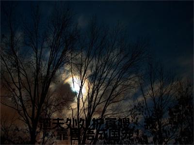 渣夫处处护寡嫂，我靠兽语成国宠！续集起点章节+全书阅读（云冉冉）书荒必看