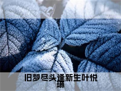 沈逸舟叶悦琳（旧梦尽头逢新生叶悦琳）TXT无套路在线+无广告结局