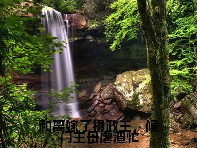 宋熙萧慕(和离嫁了摄政王，候门主母虐渣忙)+前传（宋熙萧慕）：结局+番外评价五颗星