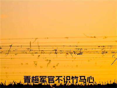 沈靖衍傅诗蕊小说章节目录+序章（青梅军官不识竹马心）全书畅享在线