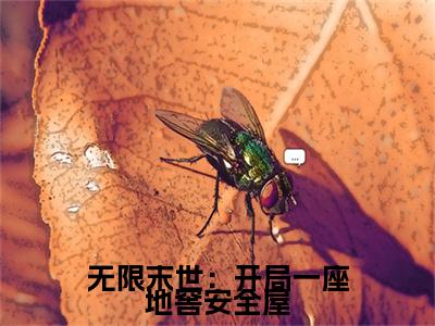 前传苏晓续集(苏晓)终章阅读极简（苏晓）