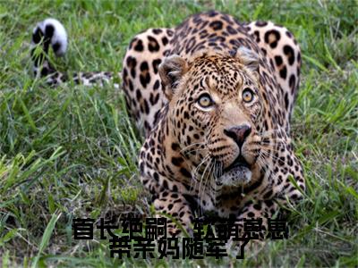 首长绝嗣，软萌崽崽带亲妈随军了彩蛋完整在线阅读（苏圆圆）最近章节列表