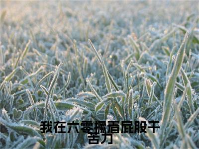 乔麦小说完本+外篇（我在六零撅着屁股干苦力）畅享阅读