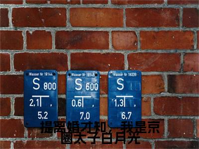 宁穗季晏辞后续(宁穗季晏辞)（提离婚才知，我是京圈太子白月光）完整章节列表_笔趣阁
