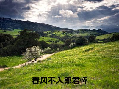 春风不入郎君怀小说(李怀远沈在在)小说结尾+隐藏篇章（春风不入郎君怀）畅享阅读