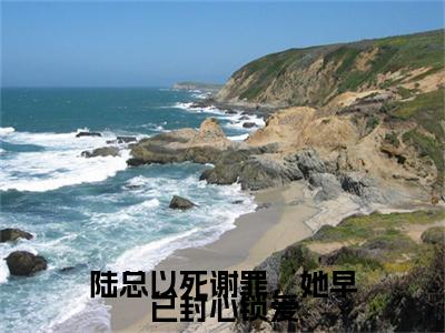 （陆子舰时烟）陆总以死谢罪，她早已封心锁爱最终篇章(陆总以死谢罪，她早已封心锁爱)全书在线无广告高口碑小说