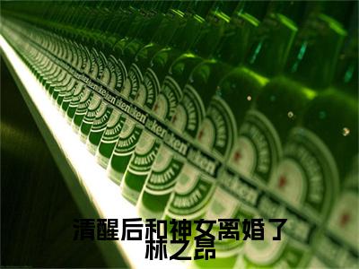 终章小说清醒后和神女离婚了林之昂完结篇(段霏怡林之昂)已更新+延伸（清醒后和神女离婚了林之昂）清爽版