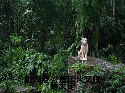 许清欢小说(糙汉老公是年代文隐藏大佬)最近更新（许清欢）整本无套路阅读