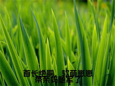 独家苏圆圆无删减(首长绝嗣，软萌崽崽带亲妈随军了)（苏圆圆）TXT免费版阅读