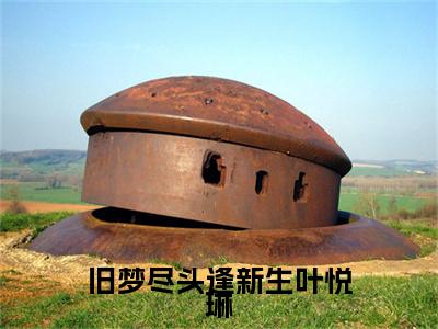 沈逸舟叶悦琳小说(沈逸舟叶悦琳)（旧梦尽头逢新生叶悦琳）在线畅读+开篇大作+前传