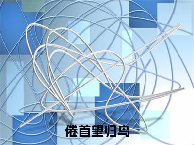 倦首望归鸟：结局+番外（傅修野唐棠）全本完整+后续+结局在线阅读
