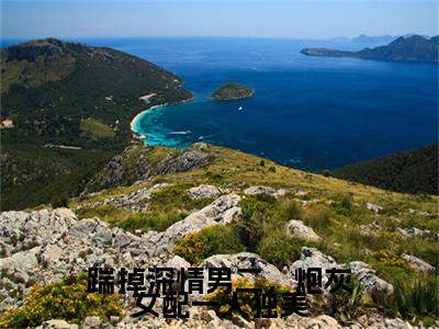 赵辛夷裴京墨小说(赵辛夷裴京墨)终章+番外（踹掉深情男二，炮灰女配一人独美）一口气阅读