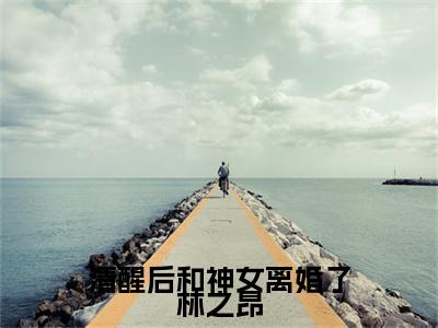 段霏怡林之昂小说(段霏怡林之昂)终章+番外（清醒后和神女离婚了林之昂）一口气阅读