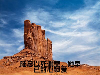 完结篇小说陆总以死谢罪，她早已封心锁爱小说(陆子舰时烟)已更新+无删减（陆总以死谢罪，她早已封心锁爱）无广告
