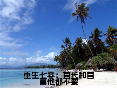 宋赫安沈馨婷后续(重生七零：首长和首富他都不要)（宋赫安沈馨婷）整本畅享在线+无广告结局