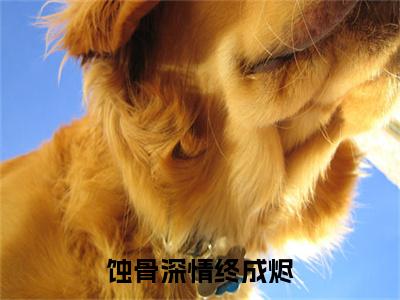 热门章节_笔趣阁（蚀骨深情终成烬）蚀骨深情终成烬小说(顾少禹温若宁)章节在线阅读
