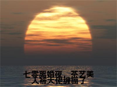 七零离婚夜，茶艺美人被大佬缠疯了：结局+番外免费品鉴+全书阅读（沈庭川祝佳音）：结局+番外评价五颗星