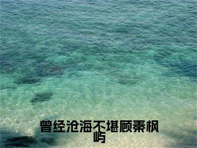 曾经沧海不堪顾秦枫屿：结局+番外（陌念微秦枫屿）全本完整+后续+结局在线阅读