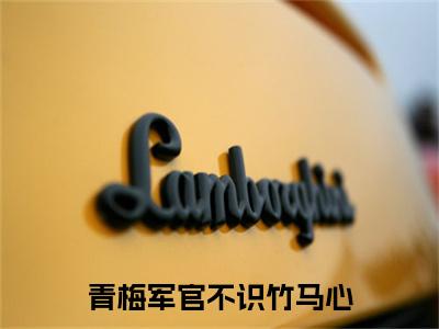 沈靖衍傅诗蕊 小说小说全集+延伸+完本（青梅军官不识竹马心）畅享在线阅读