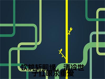 顾怀宁沈敛小说完本+外篇（饮鸩斩前缘，清冷世子红眼求垂爱）畅享阅读