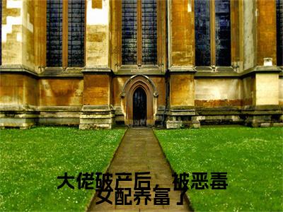 大佬破产后，被恶毒女配养富了小说（秦颂）前文+全本完整阅读预售作品抢先看