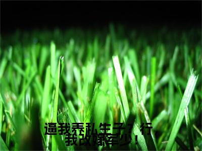 逼我养私生子？行，我改嫁军少！小说(宋芸顾知珩)章节目录+起始篇章（逼我养私生子？行，我改嫁军少！）全章无套路在线
