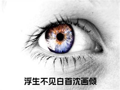 浮生不见白首沈画倾小说(萧淮宴沈画倾)+起点章节（浮生不见白首沈画倾）阅读