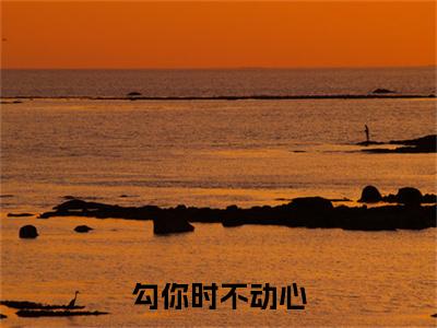 勾你时不动心小说全篇完整在线阅读（宋娴晚秦颂亭）热门章节列表