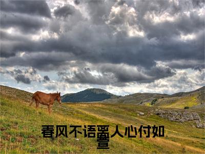 钟泽野付如萱：结局+番外新上热文（春风不语离人心付如萱）全篇免费版在线+无障碍结局