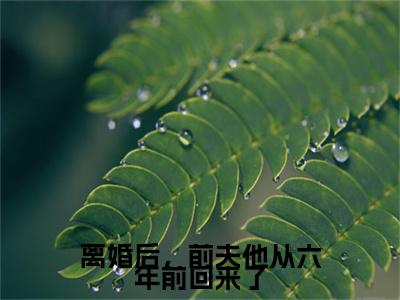 离婚后，前夫他从六年前回来了（芮宁周津嗣）TXT无套路在线+无广告结局