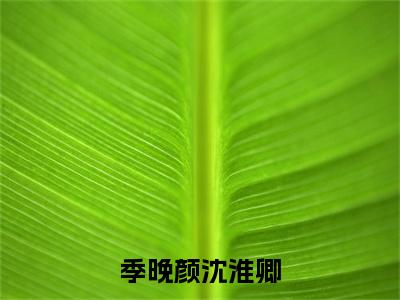 季晚颜沈淮卿季晚颜沈淮卿彩蛋小说结尾+附加（季晚颜沈淮卿）清爽版阅读