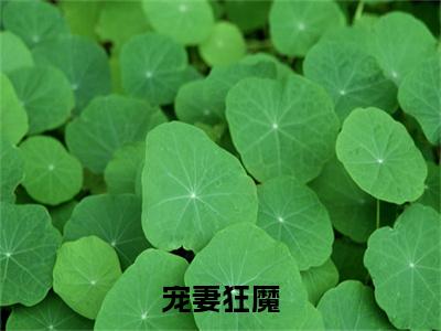 高分_宠妻狂魔小说(雷紫潇云子狂)（宠妻狂魔）全本完整阅读