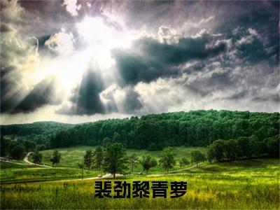 裴劲黎青萝黎青萝裴劲后续（黎青萝裴劲）全文在线下载在线+纯净版结局