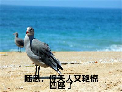 新章速递陆总，你夫人又艳惊四座了是什么小说(陆时谦宋颂)完本阅读无广告（陆总，你夫人又艳惊四座了）