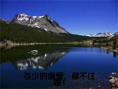 岑少的偏爱，藏不住啦！小说(岑墨苏妤)最近更新（岑少的偏爱，藏不住啦！）整本无套路阅读