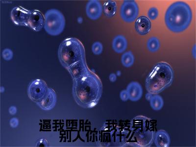 （书荒必看）楚韵傅庭州小说(逼我堕胎，我转身嫁别人你疯什么)无删减在线下载阅读最终终章