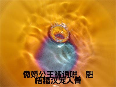 傲娇公主被诱哄，魁梧糙汉宠入骨小说章节目录+序章（陆川宋锦棠）全书畅享在线
