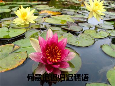 何意迟迟归迟穗语小说(裴司尧迟穗语)（何意迟迟归迟穗语）全书+后续+结局在线阅读