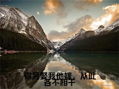你另娶我他嫁，从此各不相干 姜苒贺岑州：+后续热血十足+延伸+完本（你另娶我他嫁，从此各不相干）畅享在线阅读
