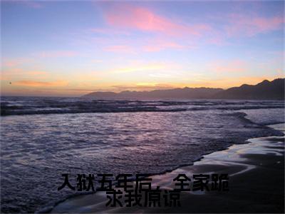 入狱五年后，全家跪求我原谅续集(林浅)全本完整免费版_起点章节+后续（入狱五年后，全家跪求我原谅）