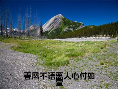 春风不语离人心付如萱：结局+番外免费品鉴+全书阅读（钟泽野付如萱）：结局+番外评价五颗星