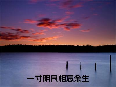 一寸阴尺相忘余生：结局+番外免费品鉴+起始篇章（盛知秋陈清焰）阅读