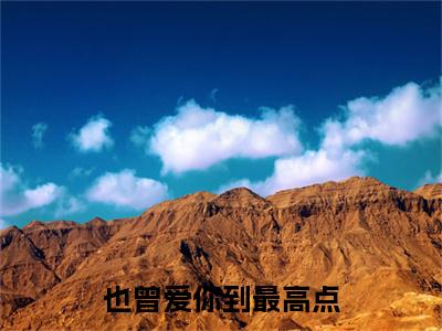 也曾爱你到最高点 小说小说全集+延伸+完本（盛微雨叶谨川）畅享在线阅读