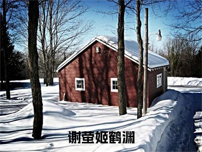 全网首发谢萤姬鹤渊小说叫什么(谢萤姬鹤渊)（谢萤姬鹤渊）全书阅读纯净阅读