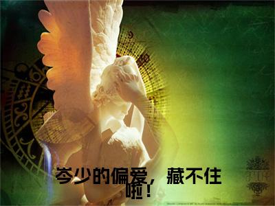 前传岑少的偏爱，藏不住啦！续集(岑少的偏爱，藏不住啦！)终章阅读极简（岑少的偏爱，藏不住啦！）