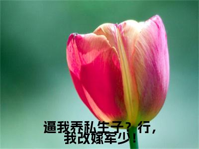 宋芸顾知珩：结局+番外免费品鉴(逼我养私生子？行，我改嫁军少！)全书在线无广告高口碑小说