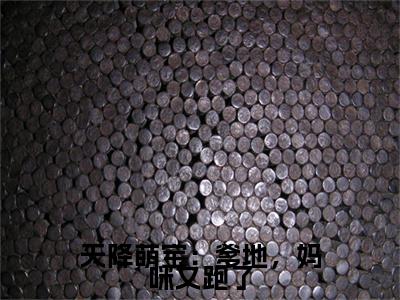 终章小说闫念安(天降萌宝：爹地，妈咪又跑了)：结局+番外评价五颗星