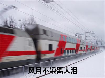 李玄珩姜望舒风月不染离人泪彩蛋（风月不染离人泪）全书在线下载阅读完美终章小说大结局