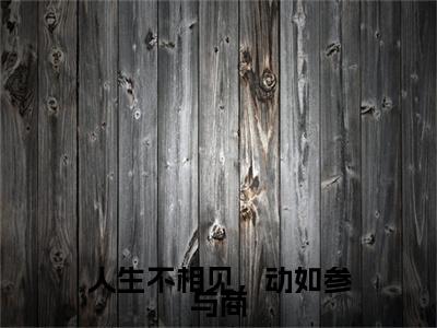 人生不相见，动如参与商：+后续+番外季宥琛姜黎无删减小说在线无广告高口碑小说