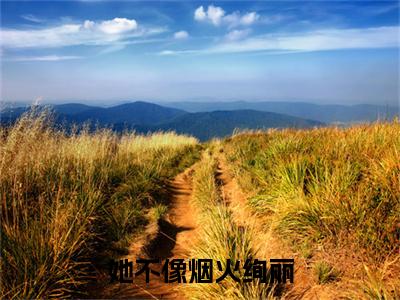 小说沈淮薇纪晟(沈淮薇纪晟)已更新+无删减（她不像烟火绚丽）